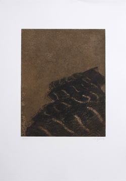 Abgebranntes Feld - 1999