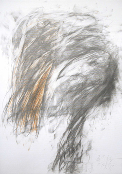 La mia ala mi impedisce di vedere la luce - 2012